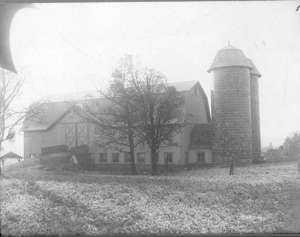 Green farm - new barn