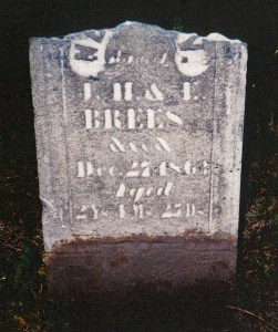 Breese, Nellie - tombstone