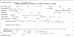 Michelson, Anna - death certificate