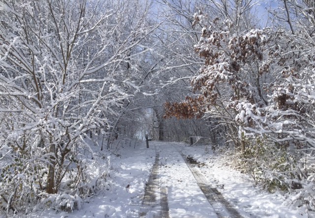 The road to the cemetery in winter