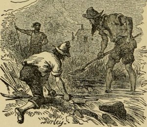 California gold rush