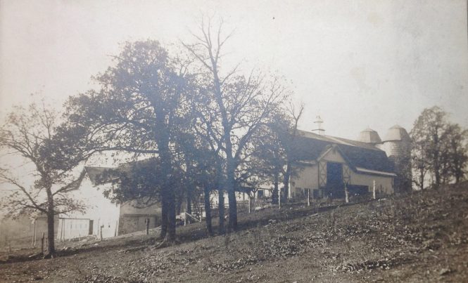 Green farm - old barn on left